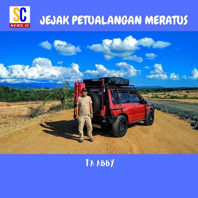 Anggrek sikat gigi (dendrobium scundum) (11)