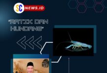 “RATIK DAN HUNDANG” (SAMPAH & UDANG) (SERI SECANGKIR KOPI SERIBU INSPIRASI)