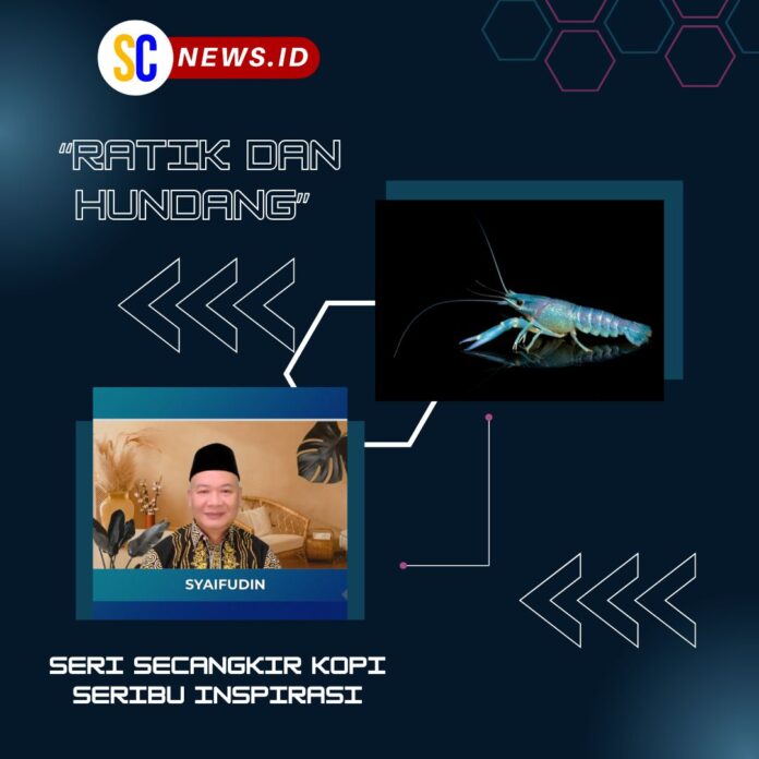 SAMPUL BARU (10)